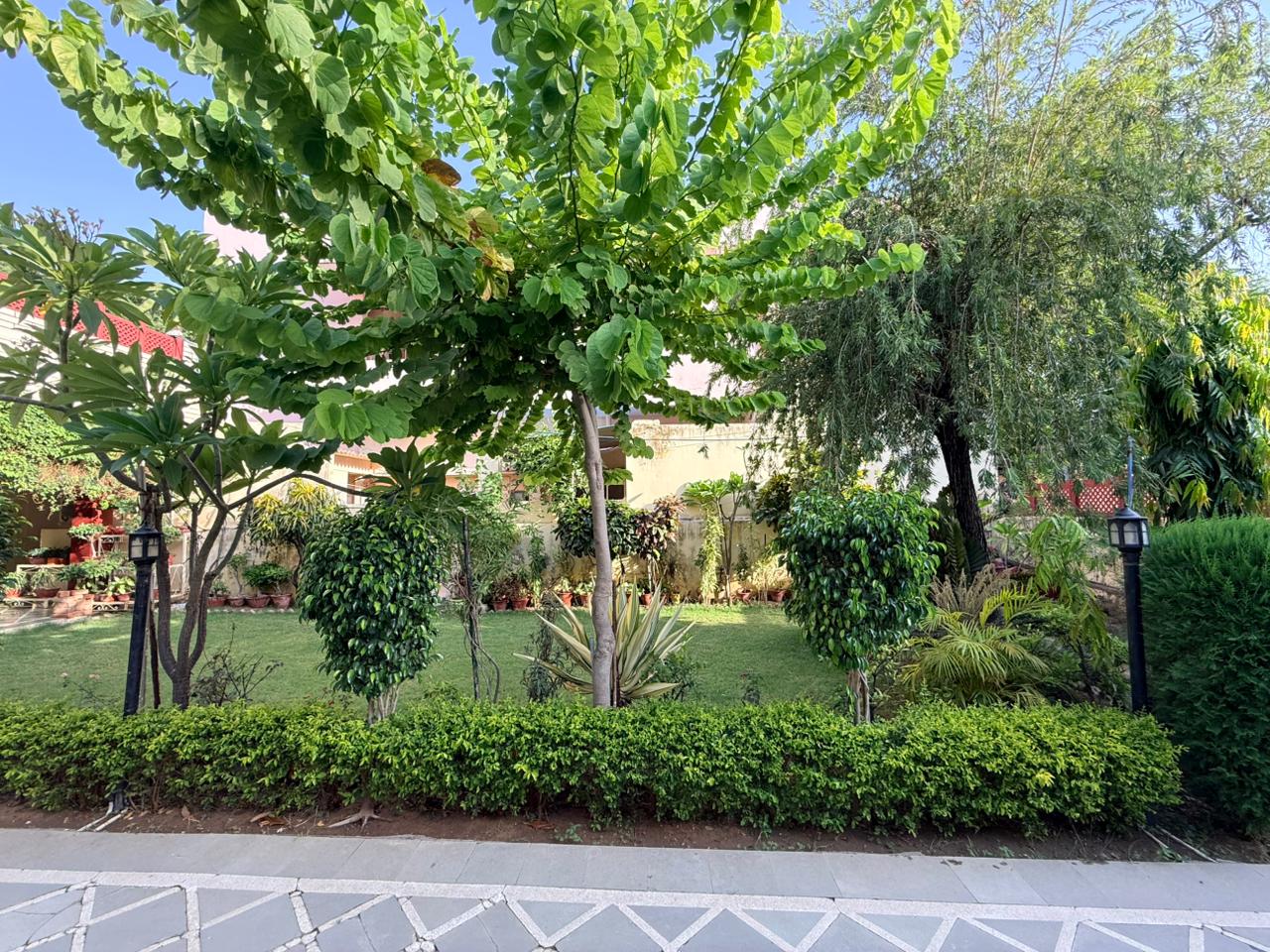 Rose & Ornamental Beds