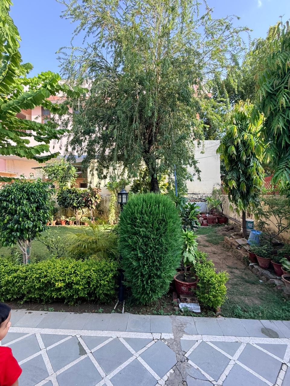 Mature Garden, Lamp Paths